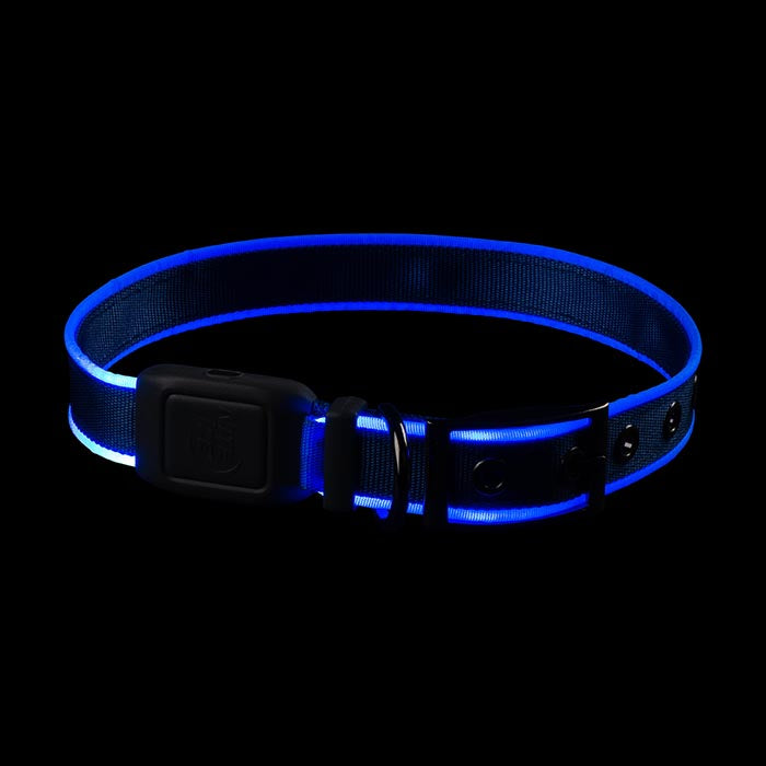 Nite Ize NiteDog Rechargeable LED Collar Blue Large